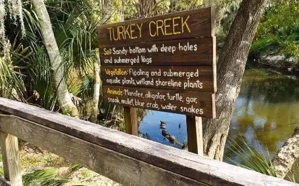 感恩节趣闻盘点｜啥，火鸡差点成了美国国鸟？