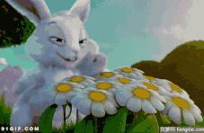 福鼎风景好的村庄,福鼎乡村旅游景点推荐