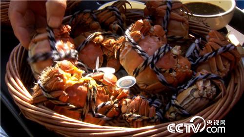 阳澄湖大闸蟹将军养殖基地,阳澄湖唯一的养蟹状元