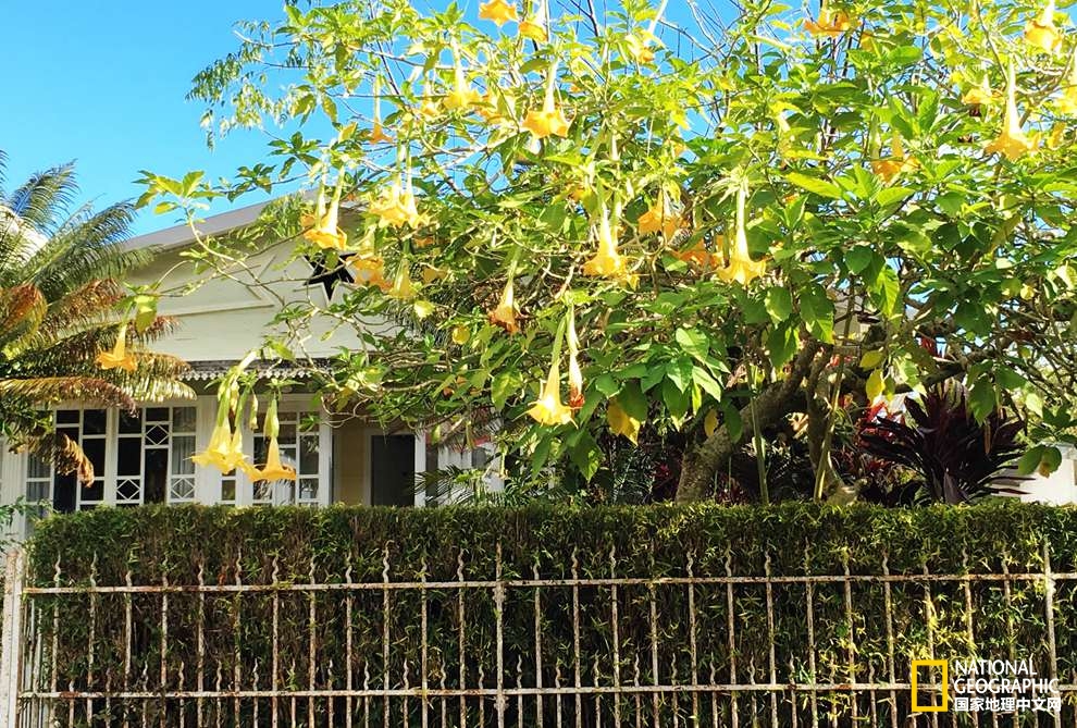 侠骨柔情展现的淋漓尽致,侠骨柔情温柔似水