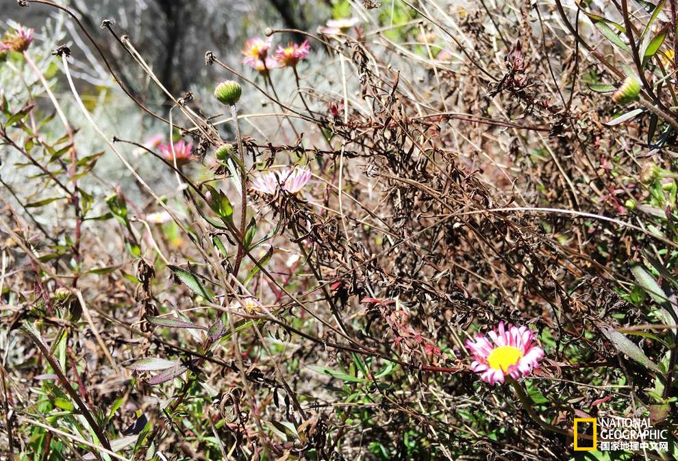 侠骨柔情展现的淋漓尽致,侠骨柔情温柔似水