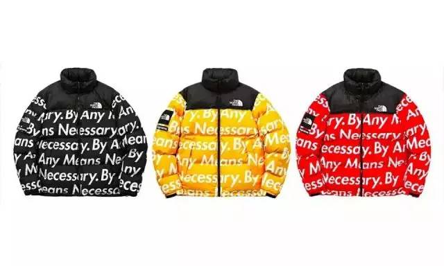 supremexthenorthface联名款,supremexthenorthface