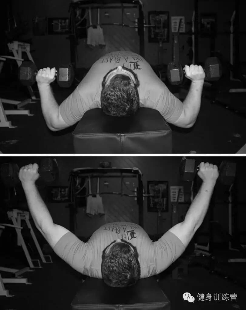 干货|终极版卧推指南——卧推生物力学