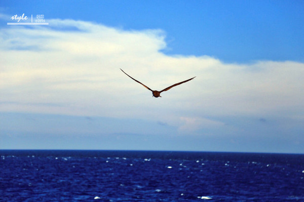 海洋神话号2018航线,海洋神话号在新加坡