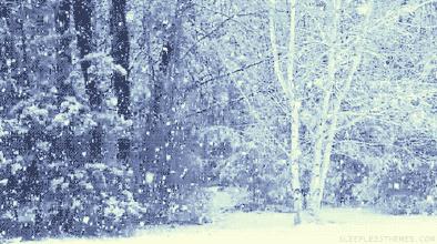 诗词鉴赏一枝春,诗词鉴赏一夜东风绽早梅