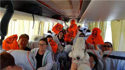 嬉水节巡游活动现场,嬉水节活动总结