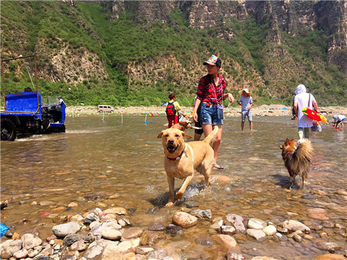 嬉水节巡游活动现场,嬉水节活动总结