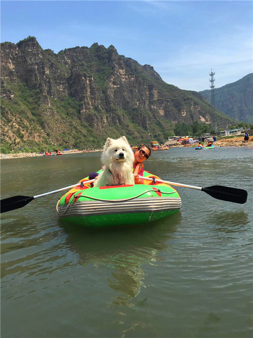 嬉水节巡游活动现场,嬉水节活动总结