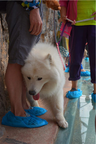 嬉水节巡游活动现场,嬉水节活动总结