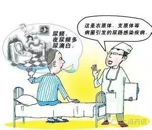 泌尿系统感染及治疗注意事项