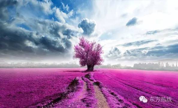 宁波三天两晚民宿推荐最好的地方,宁波最值得一去的民宿