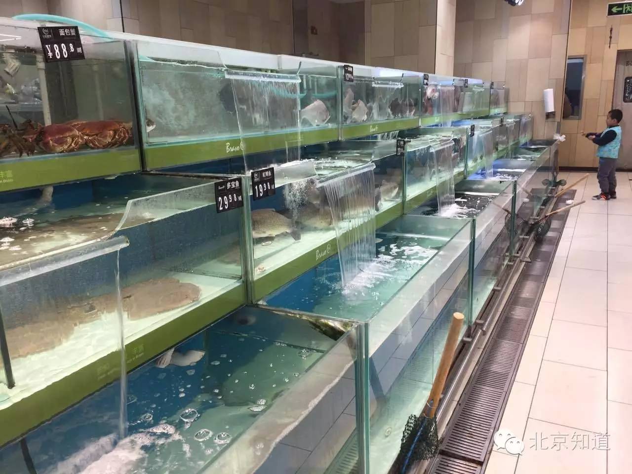 真假？！据说超市里活又游回来了！