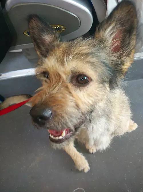 嬉水节巡游活动现场,嬉水节活动总结