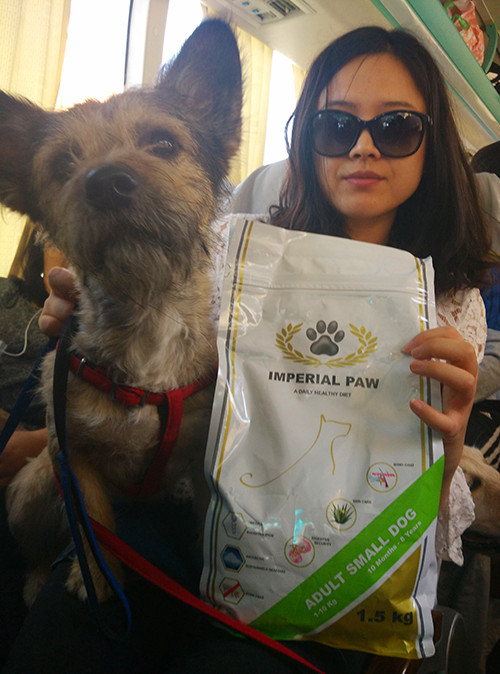 嬉水节巡游活动现场,嬉水节活动总结