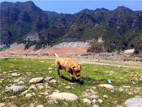嬉水节巡游活动现场,嬉水节活动总结