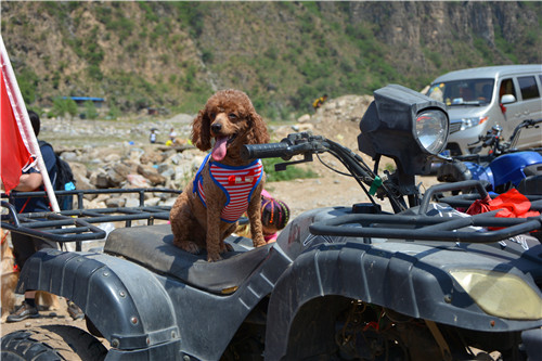 嬉水节巡游活动现场,嬉水节活动总结