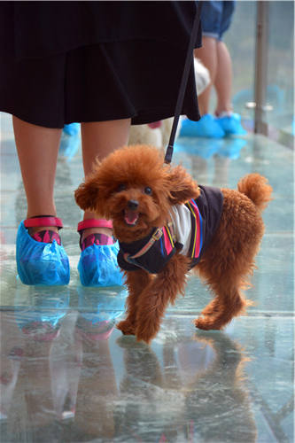 嬉水节巡游活动现场,嬉水节活动总结