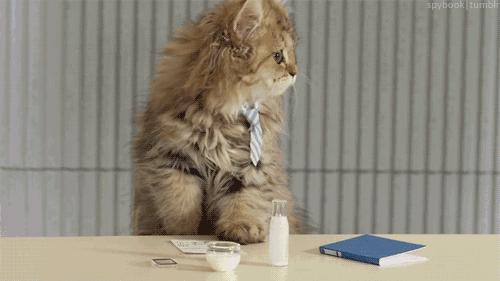 嫌电脑包吃藕？10款能放电脑又不土的通勤包大盘点｜剁手专家团