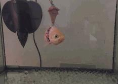 协和专家来我区开展肿瘤知识讲座｜女司机从负3楼撞到负2楼……