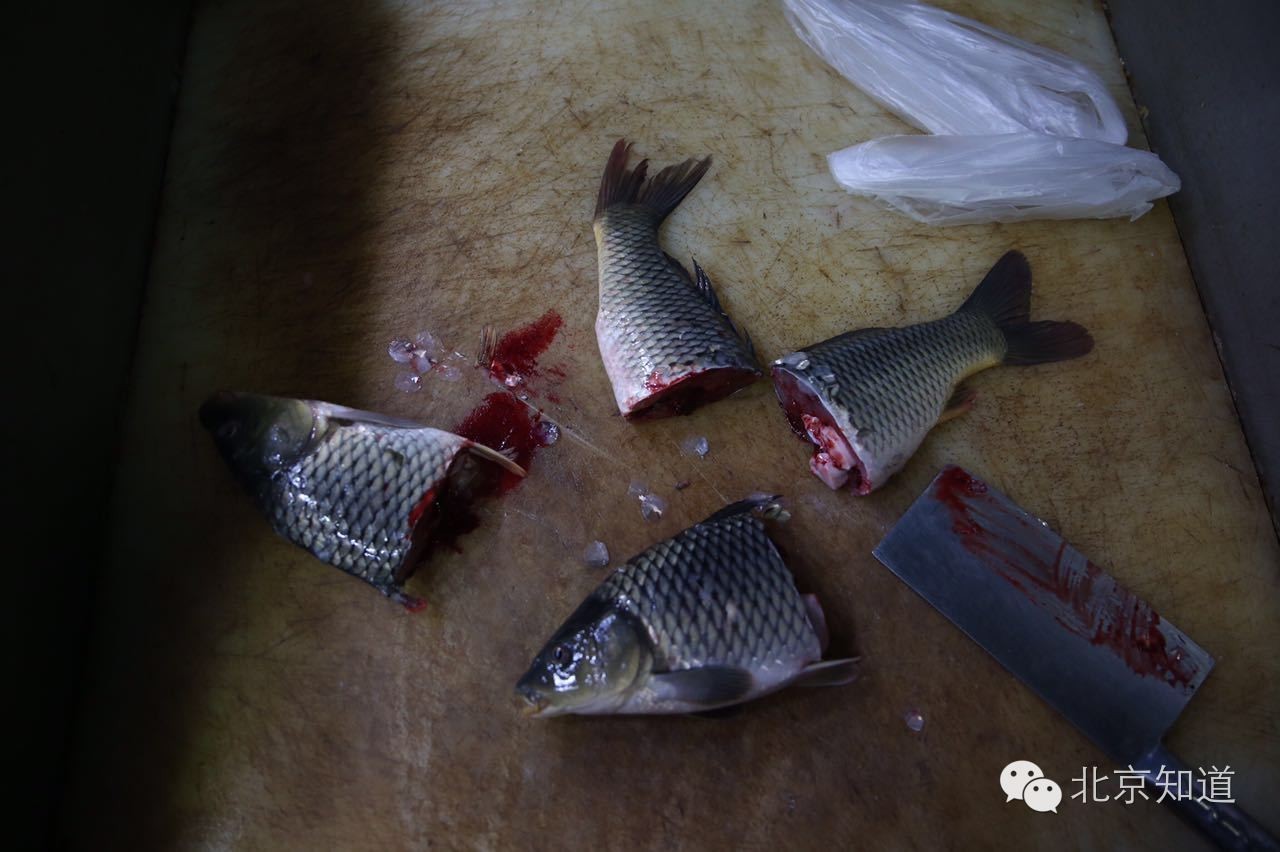 真假？！据说超市里活又游回来了！