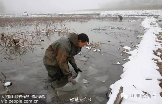 协和专家来我区开展肿瘤知识讲座｜女司机从负3楼撞到负2楼……