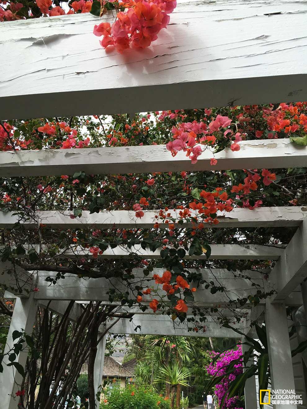 侠骨柔情展现的淋漓尽致,侠骨柔情温柔似水