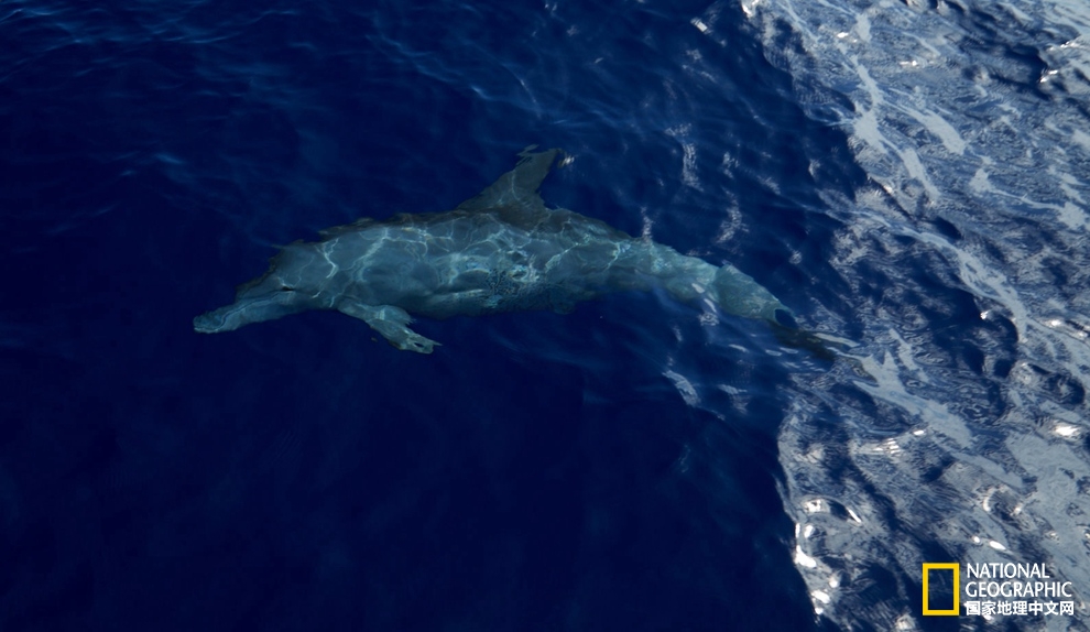 侠骨柔情展现的淋漓尽致,侠骨柔情温柔似水