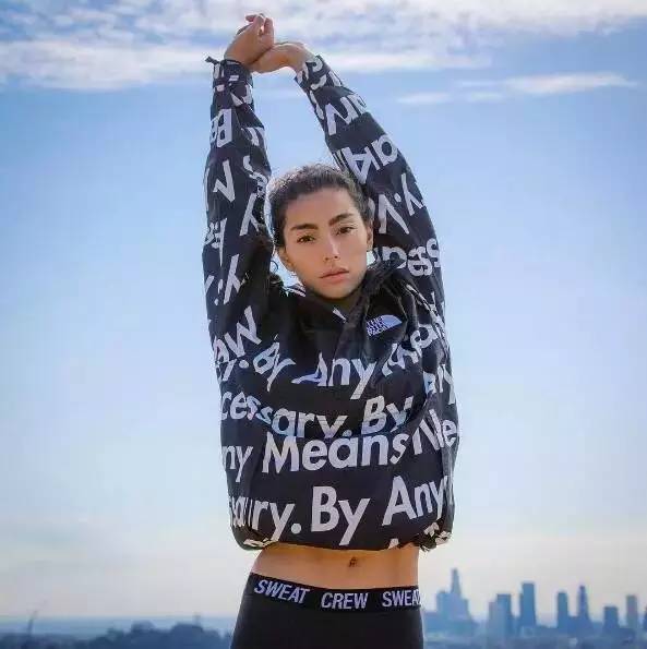 supremexthenorthface联名款,supremexthenorthface