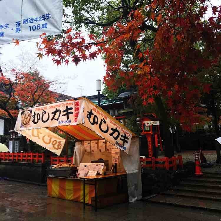 日本自由行京都红叶之旅,日本名古屋红叶风景
