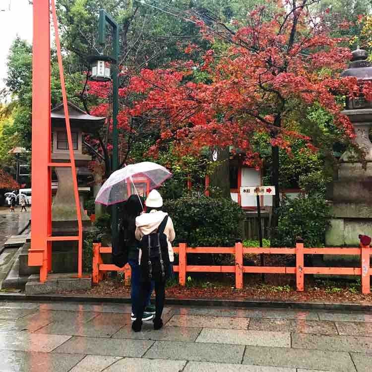 日本自由行京都红叶之旅,日本名古屋红叶风景