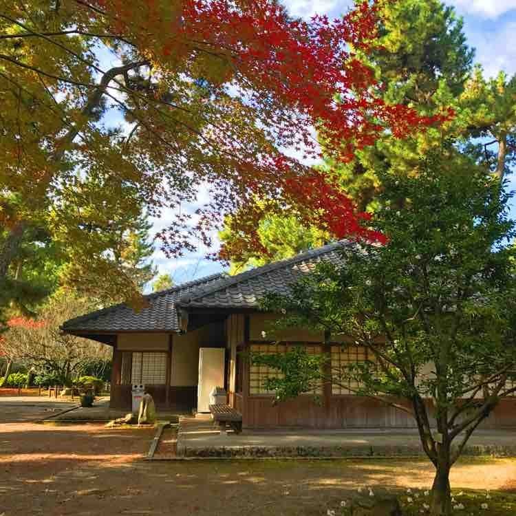 日本自由行京都红叶之旅,日本名古屋红叶风景