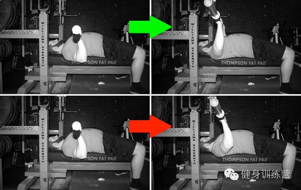 干货|终极版卧推指南——卧推生物力学