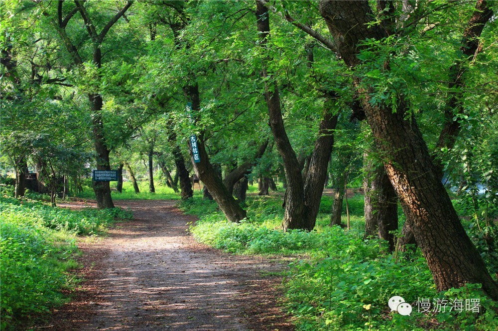 海曙附近的古道,海曙区十大古道