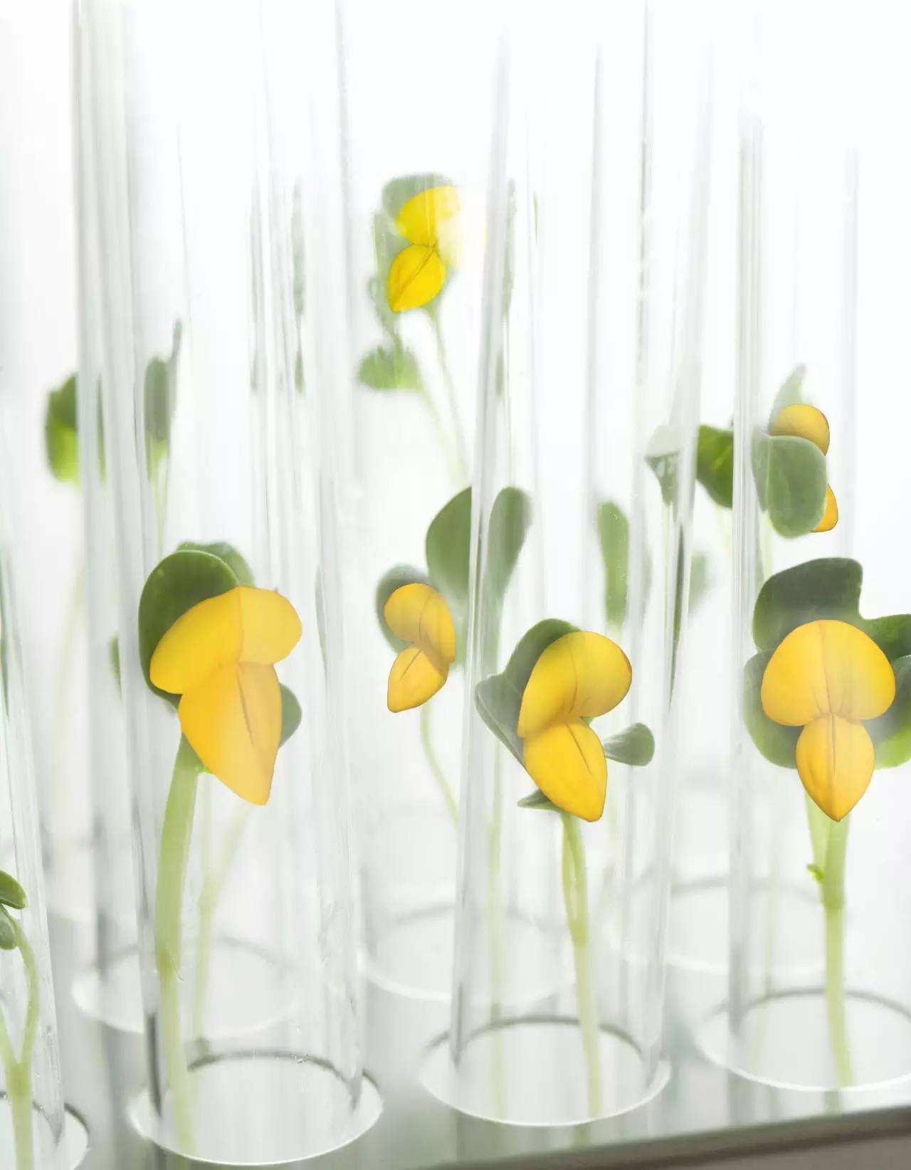 鎺ㄥ箍鎵嶆槸鐜嬮亾鍥剧墖,鎺ㄥ箍鎵嶆槸鐜嬮亾