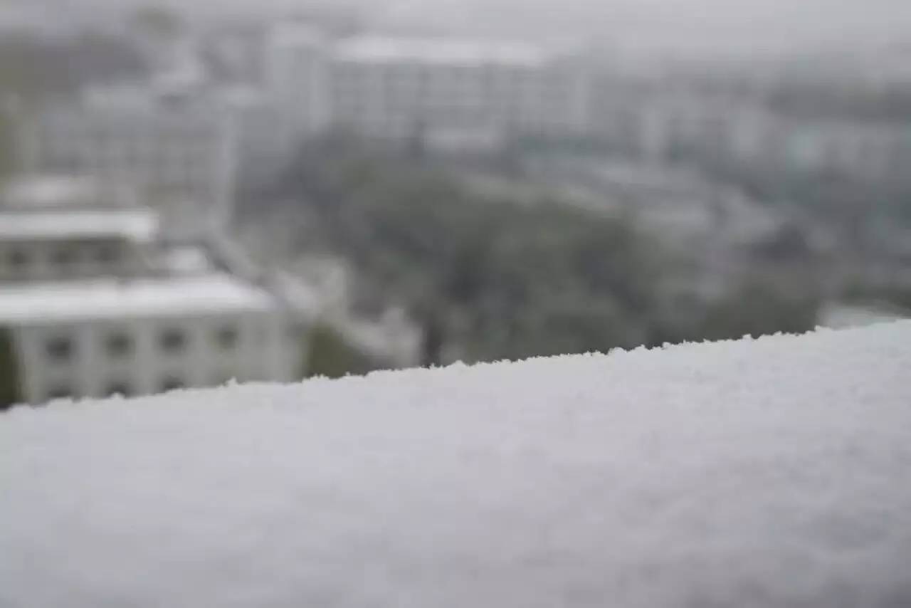 狗狗看雪需要注意什么,下雪天狗狗应该注意什么