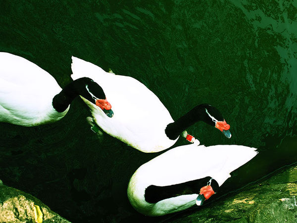 奥林巴斯epl8拍的照片,奥林巴斯epl8怎么自拍