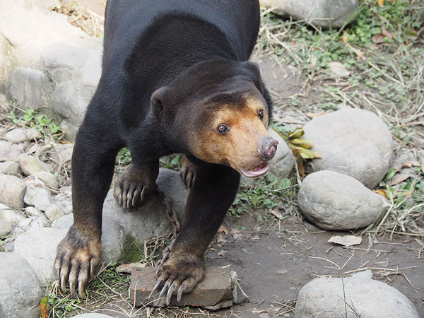 奥林巴斯epl8拍的照片,奥林巴斯epl8怎么自拍