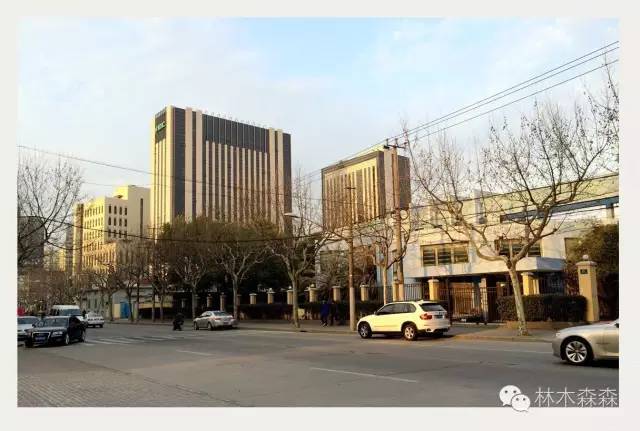 生在淮北，剩在上海