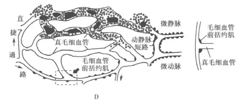 麻醉江湖烽烟再起，且看正邪双方如何决战“感染性休克”！