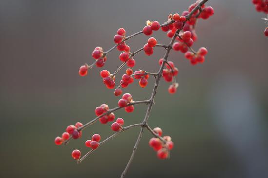 触控+5轴防抖全能快拍手索尼A6500评测