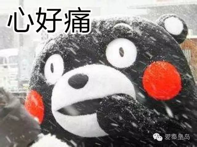 抚宁高二学生被罚300个蹲起后进了重症监护室/我市新增公交线路3条！（内含更多岛上事）