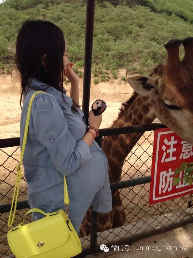 妈妈顺产的日记,孕妈必备超快顺产的超全攻略