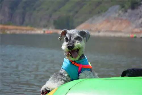 嬉水节巡游活动现场,嬉水节活动总结