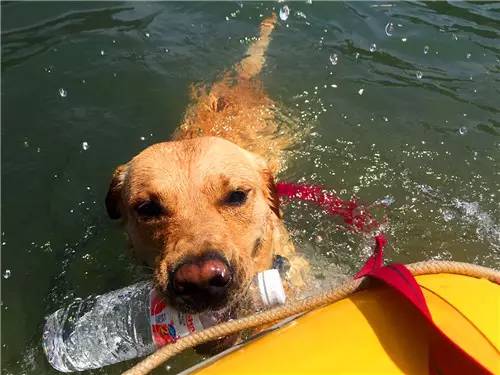 嬉水节巡游活动现场,嬉水节活动总结