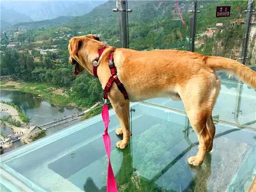 嬉水节巡游活动现场,嬉水节活动总结