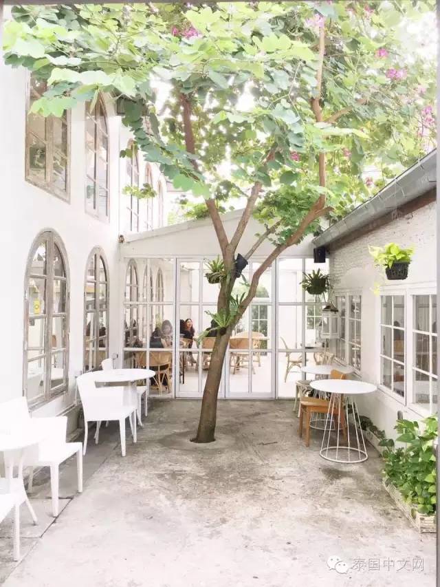 丁婷婷在曼谷的地位,泰国硕士留学真实感受