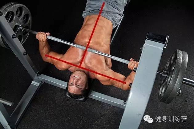 干货|终极版卧推指南——卧推生物力学