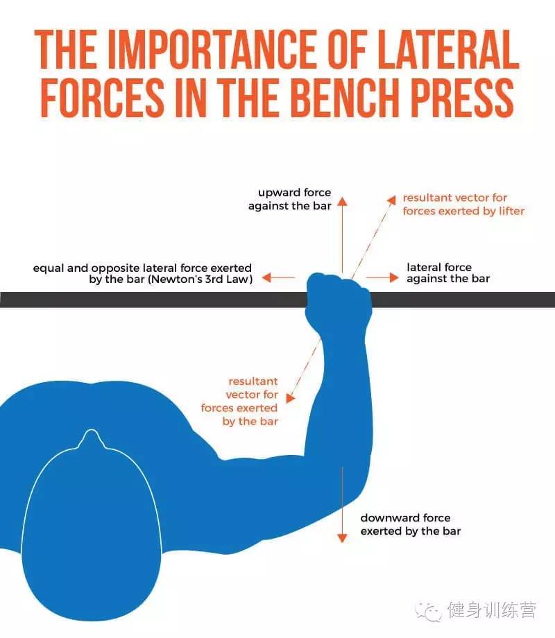 干货|终极版卧推指南——卧推生物力学