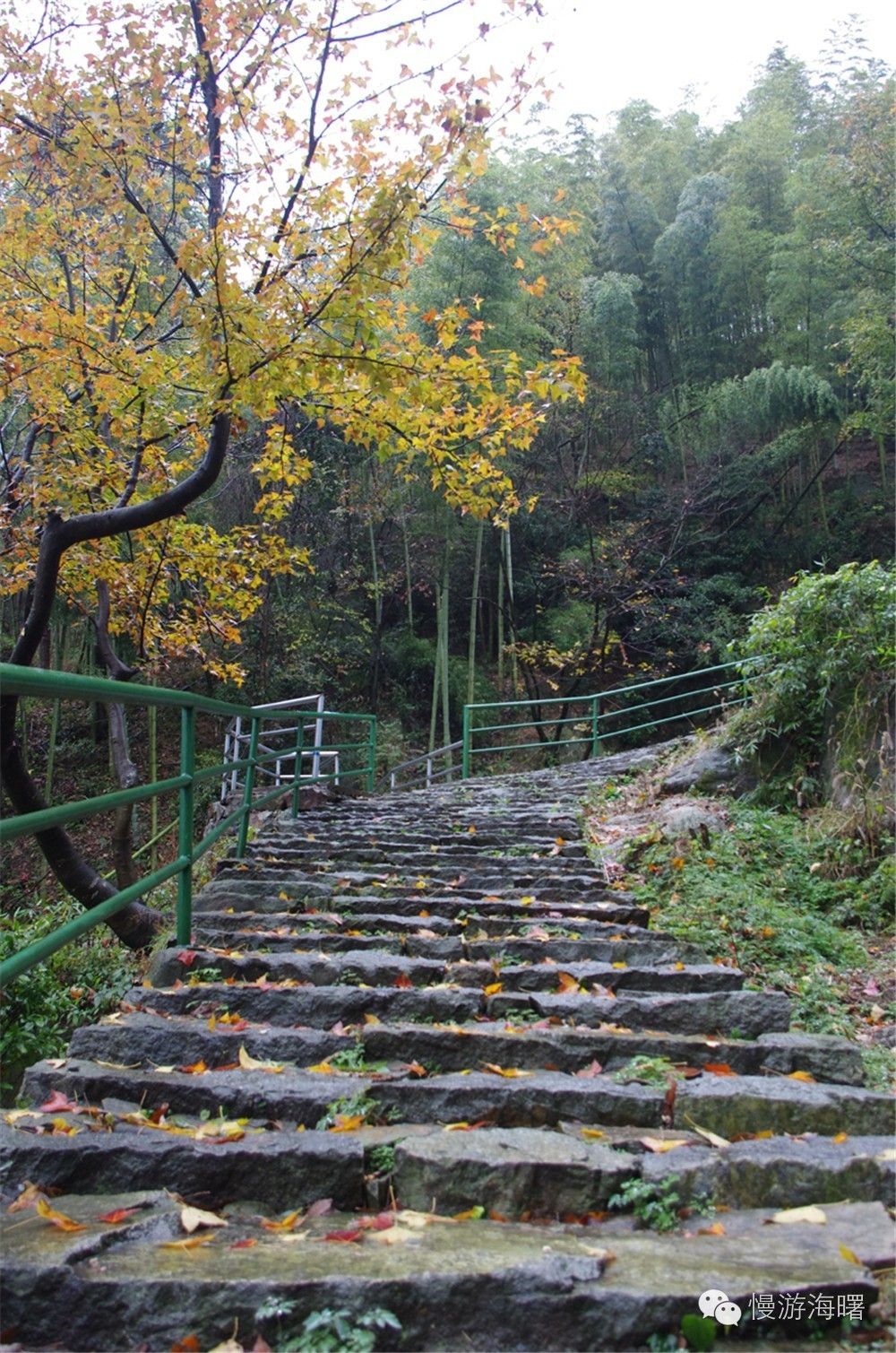 海曙附近的古道,海曙区十大古道