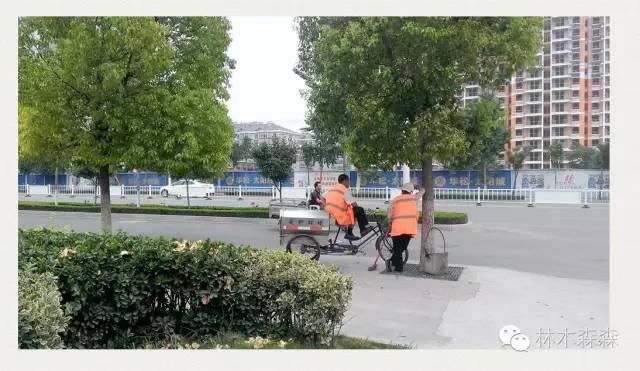 生在淮北，剩在上海